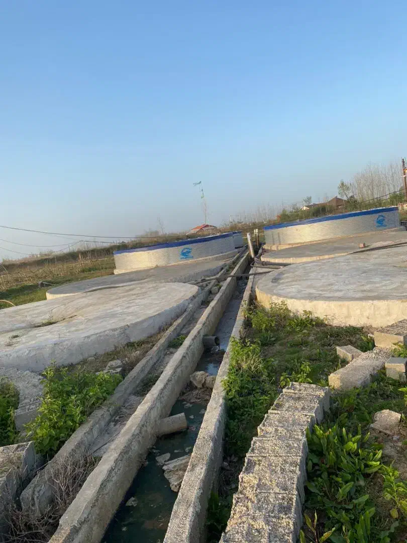 فروش پرورش ماهی ۲ هکتاری تمام‌در طرح هادی|فروش دفتر صنعتی، کشاورزی، تجاری|کیاشهر, |دیوار