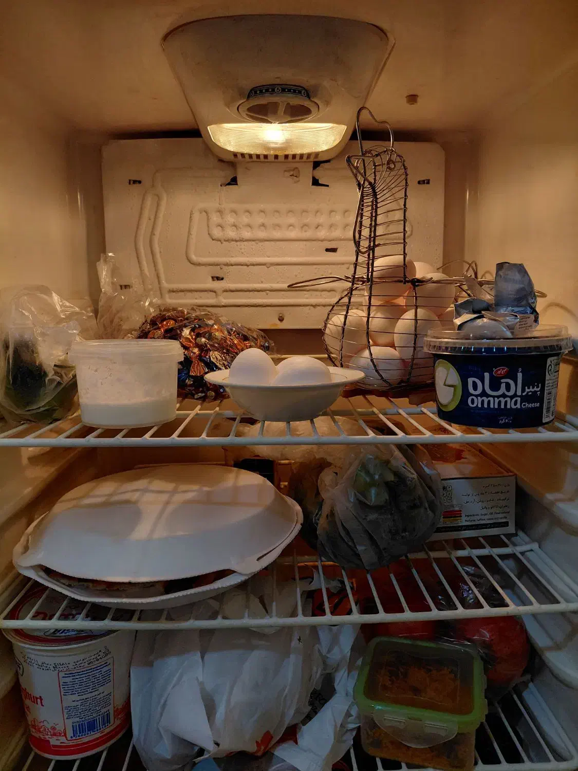 یخچال و فریزر برند سایوان موتور سامسونگ کره ای|یخچال و فریزر|مشهد, الهیه|دیوار