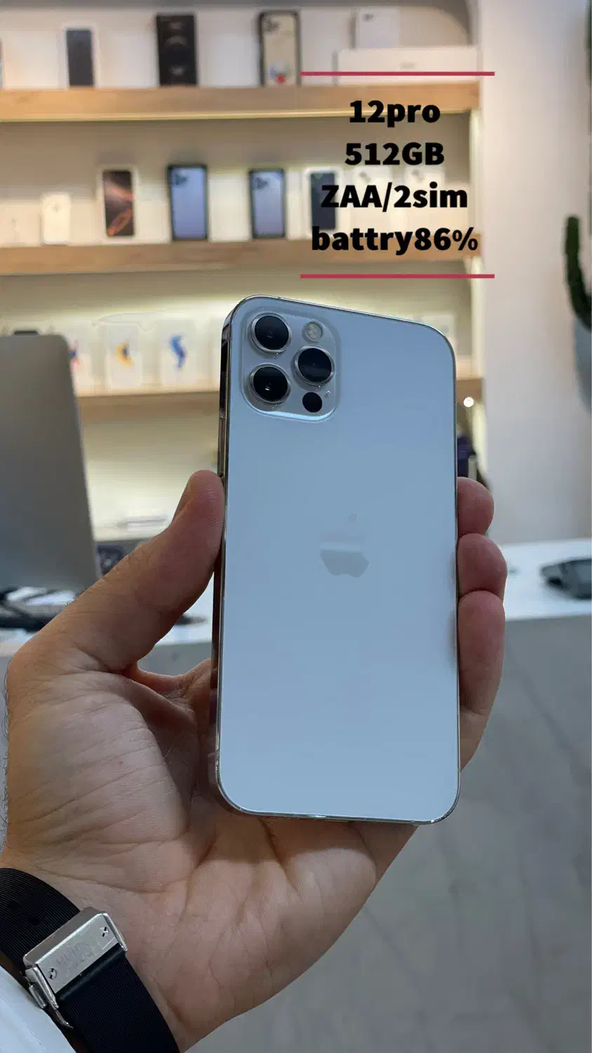 iphone 12pro|موبایل|شیراز, کوی وحدت|دیوار