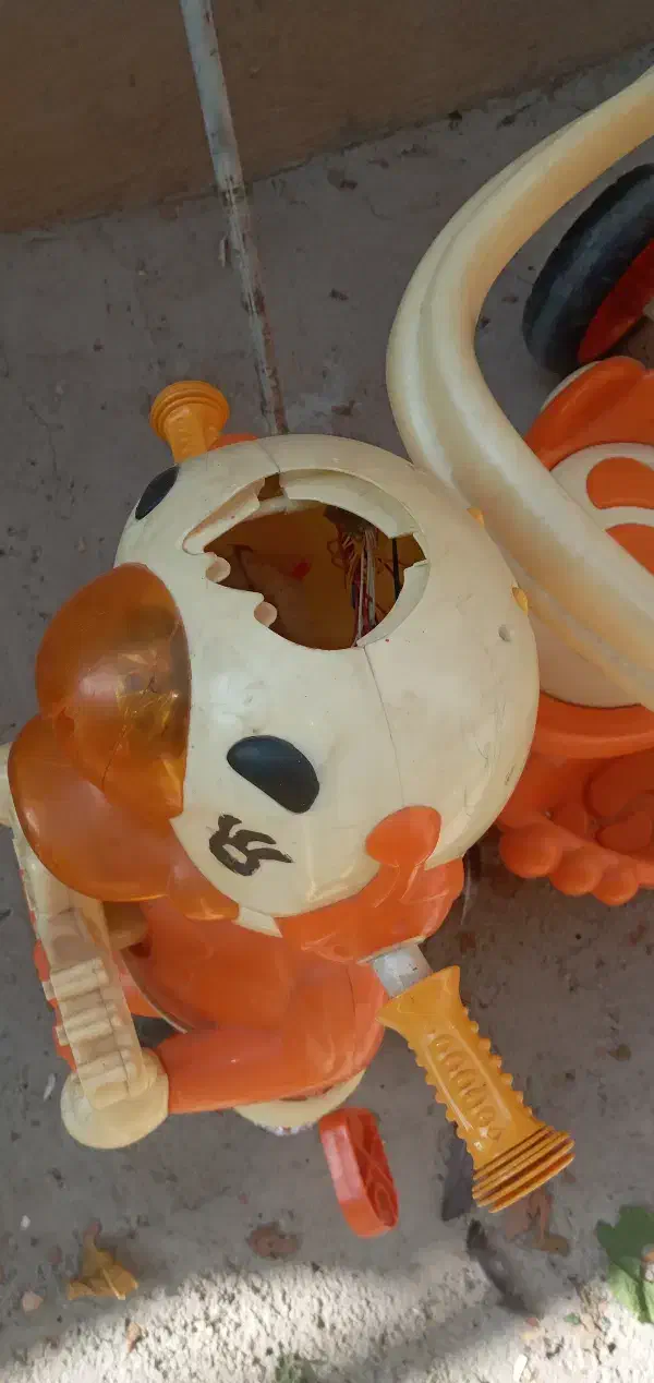 سه چرخه کودک|اسباببازی بچه|اقبالیه, |دیوار