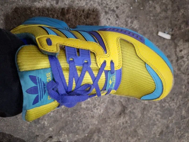 8000 اورا|کیف، کفش، کمربند|رباطکریم, الارد|دیوار