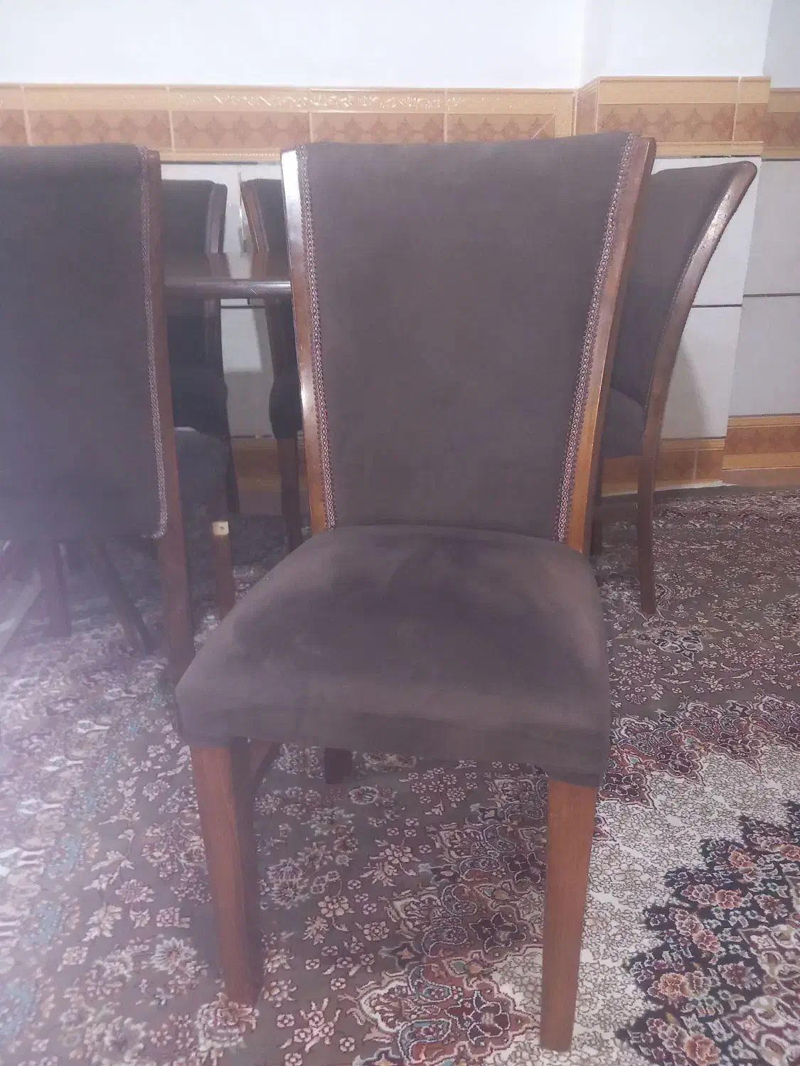 میز غذاخوری شش نفره|میز و صندلی غذاخوری|مینودشت, |دیوار