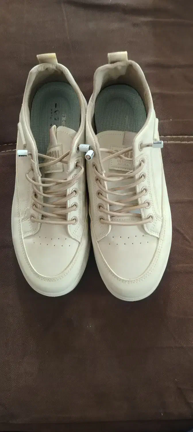 کفش|کیف، کفش، کمربند|شهرضا, |دیوار