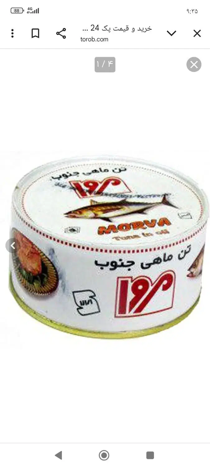 تن ماهی|خوردنی و آشامیدنی|رفسنجان, |دیوار