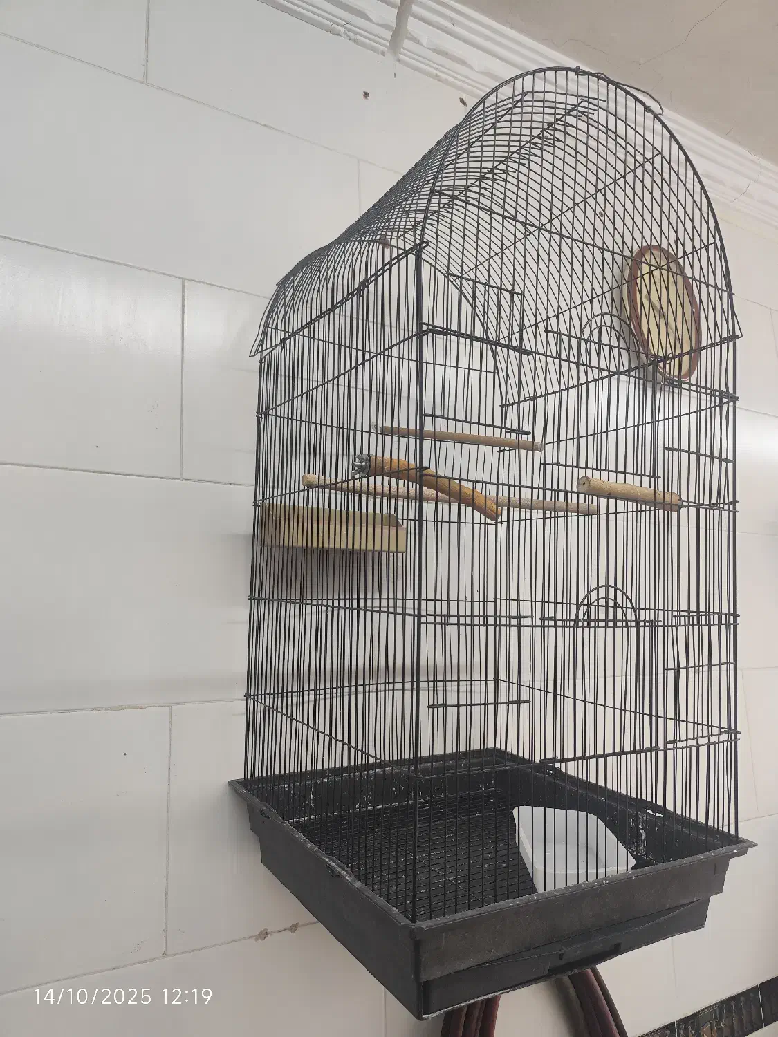 قفسه پرنده طوطی،عروس هلندی با تجهیزات، ۷۰۰|لوازم جانبی حیوانات|اصفهان, قلعه طبره|دیوار