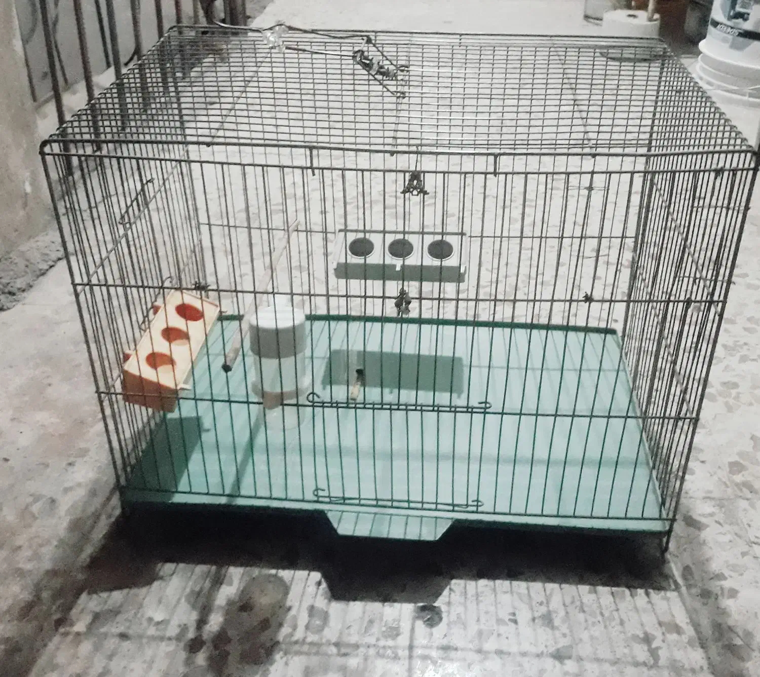 قفس پرنده|لوازم جانبی حیوانات|کرمانشاه, |دیوار