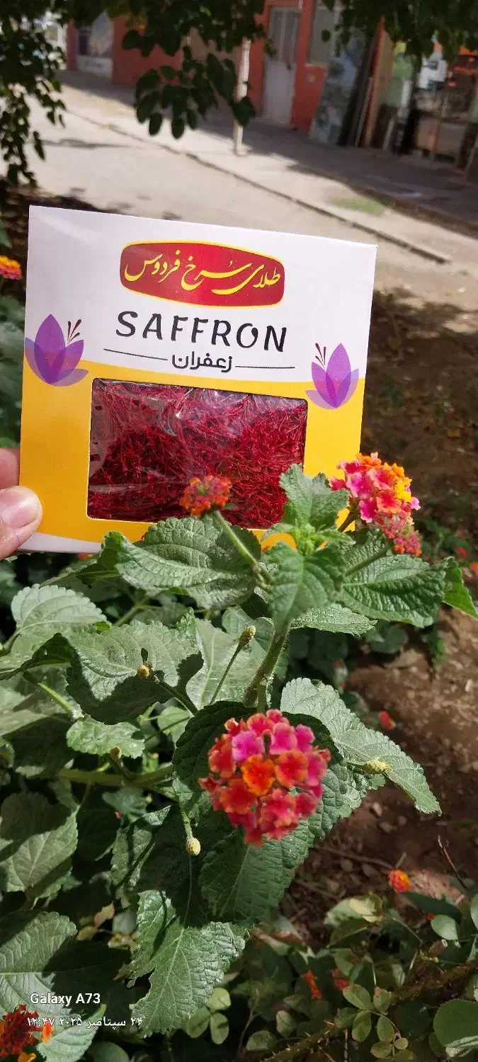 زعفران نگین درجه یک|خوردنی و آشامیدنی|تهران, قصر فیروزه ۱|دیوار