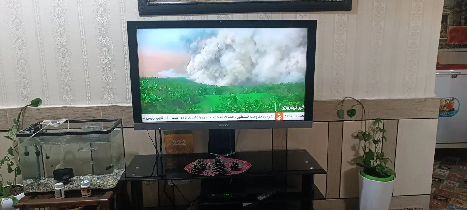 تلویزیون و میز تلویزیون شیشه ای|تلویزیون و پروژکتور|شوش, |دیوار