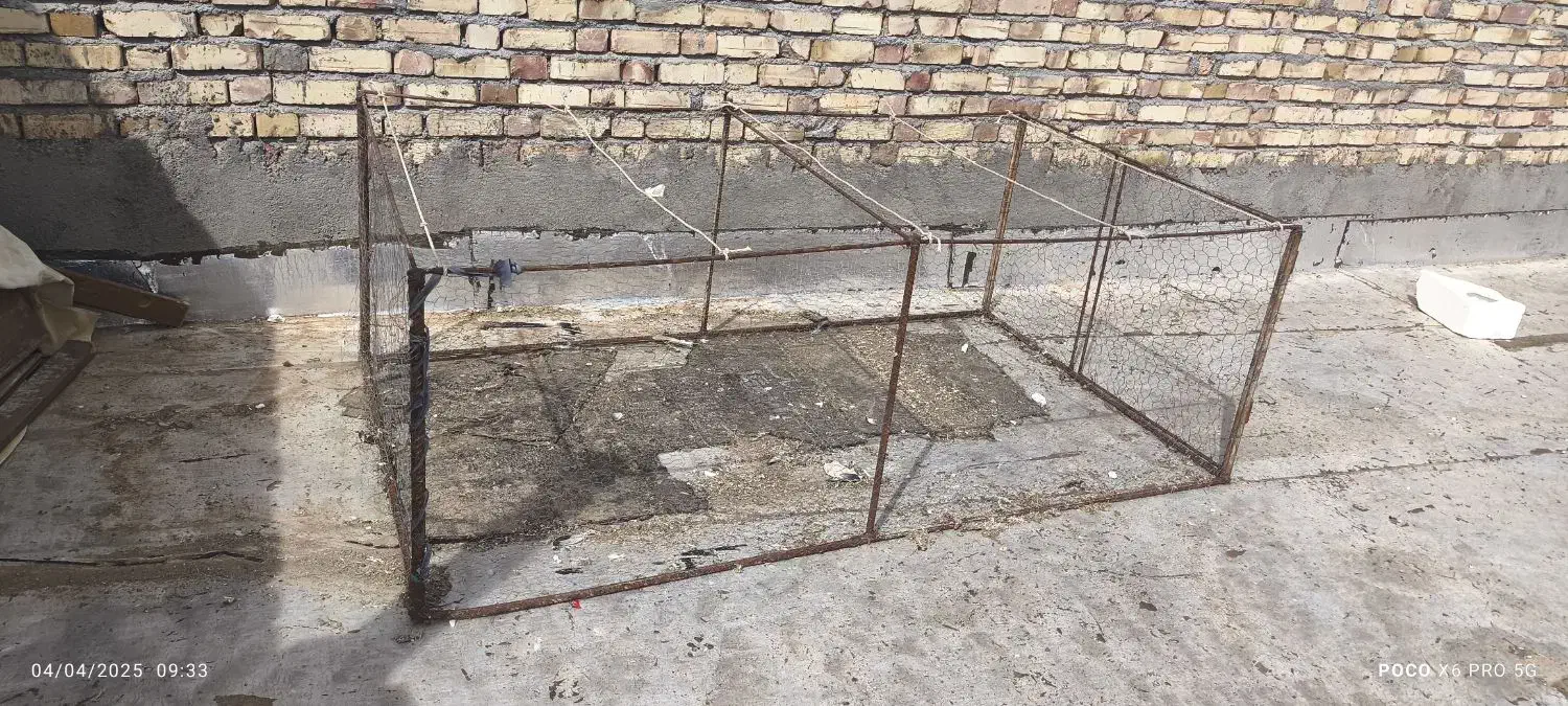 توربمب بزرگ|لوازم جانبی حیوانات|تربت جام, میان جام|دیوار