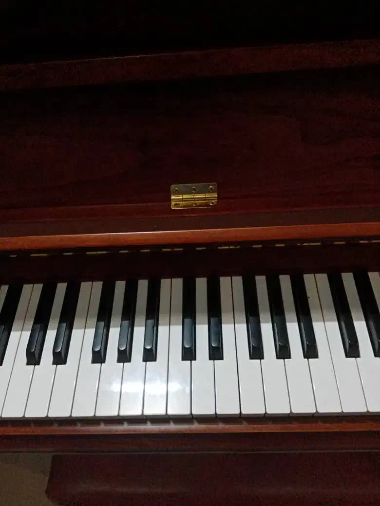 فروش پیانو مارک samic اصل کره|پیانو، کیبورد، آکاردئون|مشهد, بهشت|دیوار