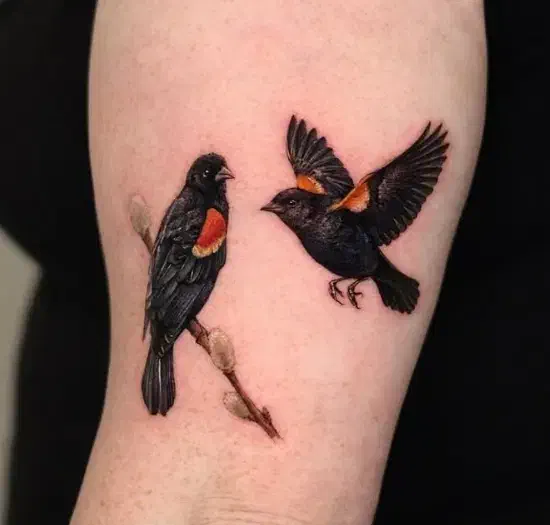 اجرا و آموزش تتو بدن همراه با مدرک|خدمات آموزشی|پاکدشت, پاکدشت (مامازند)|دیوار