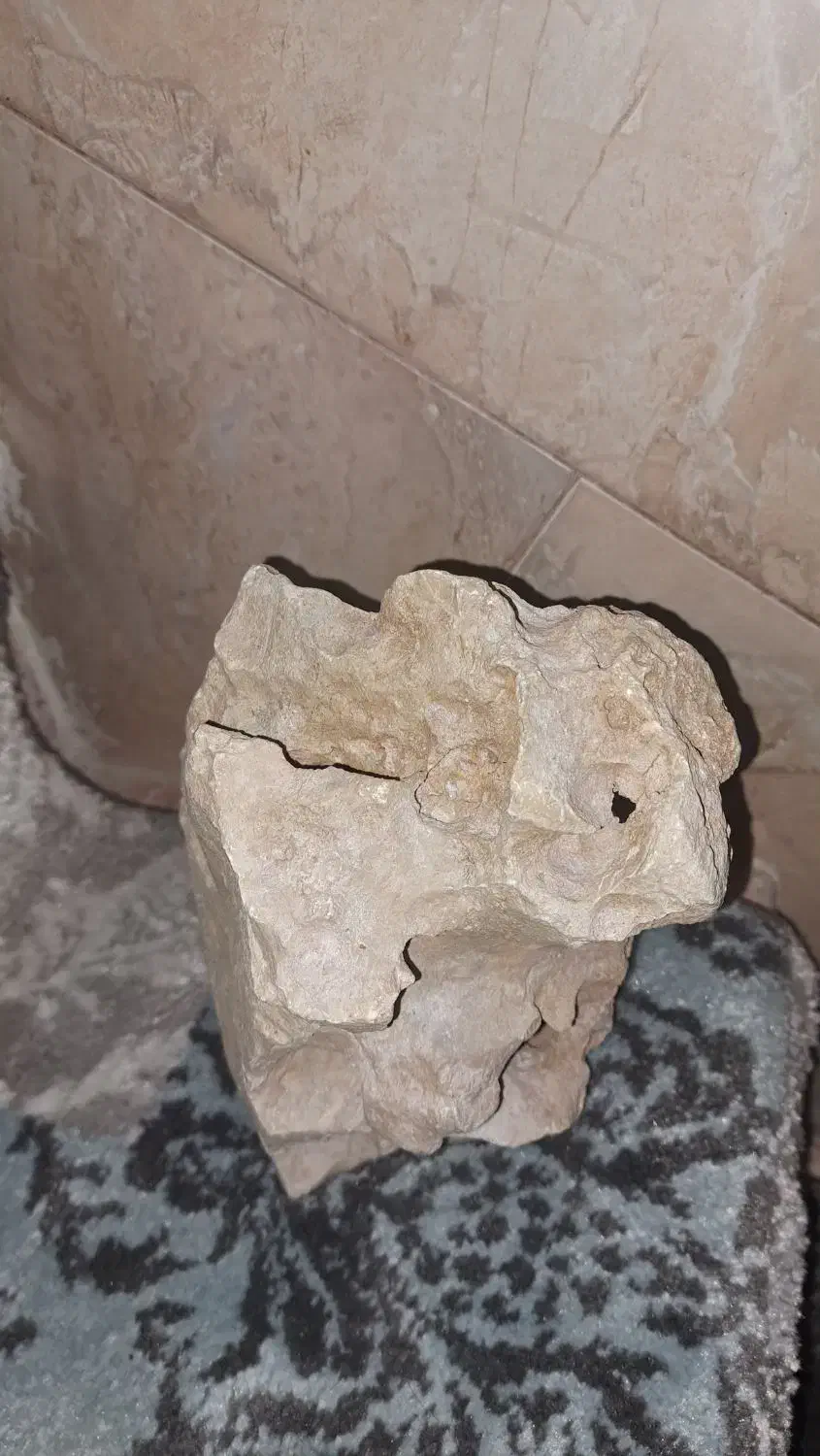 سنگ آکواریوم|ماهی|دماوند, دماوند|دیوار