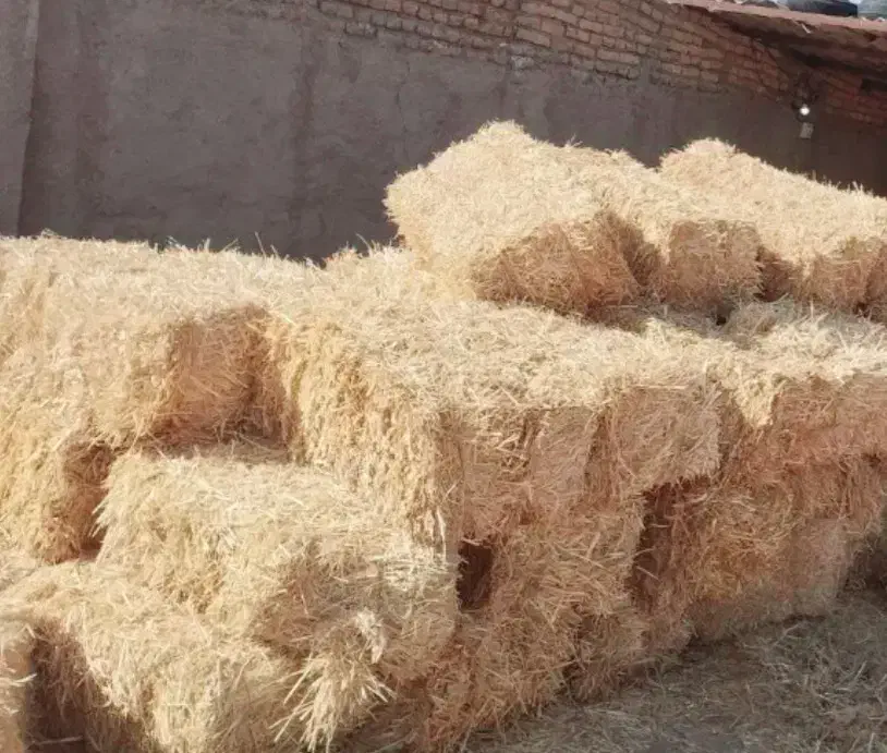 پخل گندم دست اول درجه یک|حیوانات مزرعه|نصر آباد, |دیوار