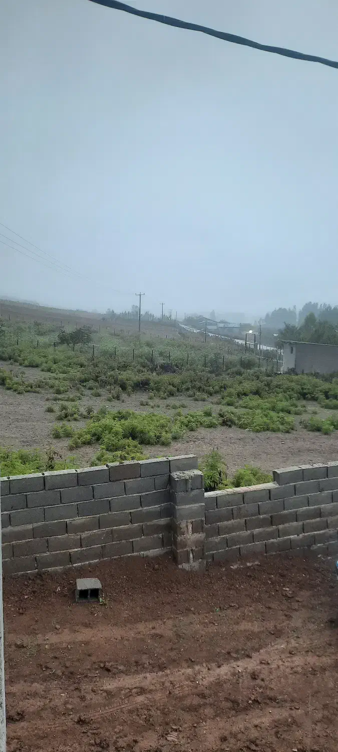 کارگر ماهر دامداری گوسفند سالنی|استخدام سرایداری و نظافت|ساری, |دیوار