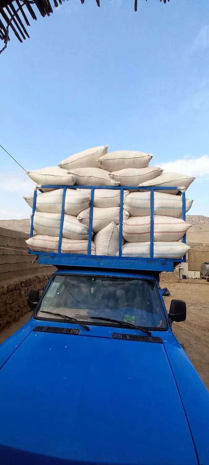 کاه گندم|حیوانات مزرعه|اهواز, امانیه|دیوار