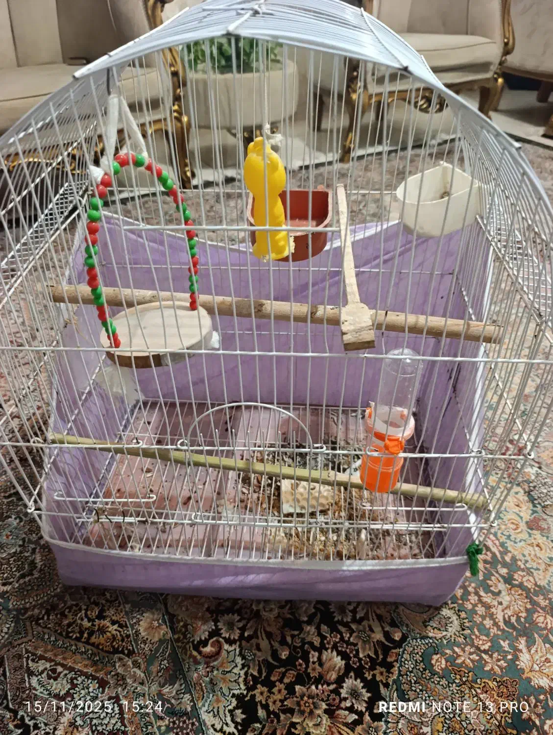 فروش قفس طوطی|لوازم جانبی حیوانات|لاهیجان, کوی زمانی|دیوار