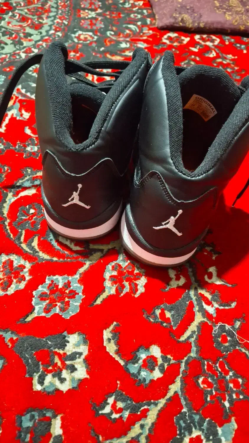 کفش نایک جردن|کیف، کفش، کمربند|شیراز, نیستان|دیوار