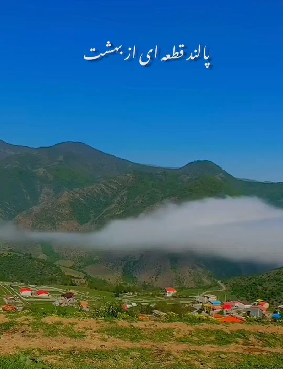 فروش زمین / روستای پالند|فروش زمین و ملک کلنگی|آلاشت, |دیوار