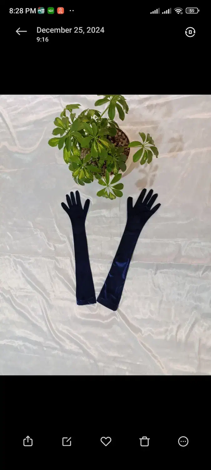 دستکش مخمل ساق بلند|لباس|مشهد, عبادی|دیوار