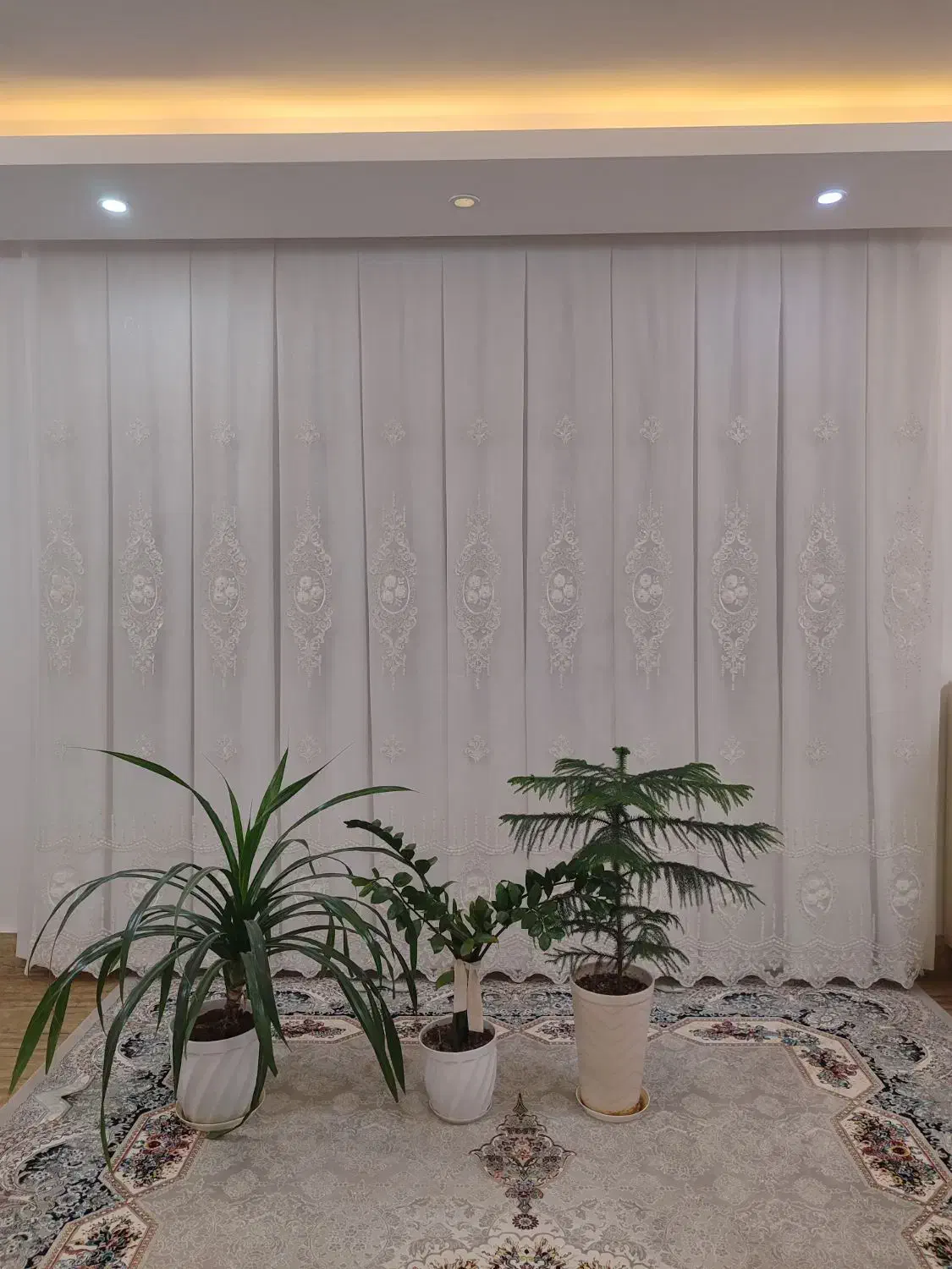 پرده|پرده، رانر، رومیزی|تربت جام, یحیی آباد|دیوار