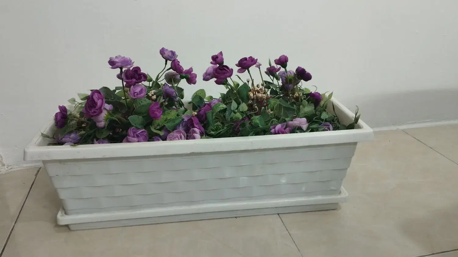 گل طبیعی و گلدان و پایه گل|گل و گیاه طبیعی|مشهد, هنرور|دیوار