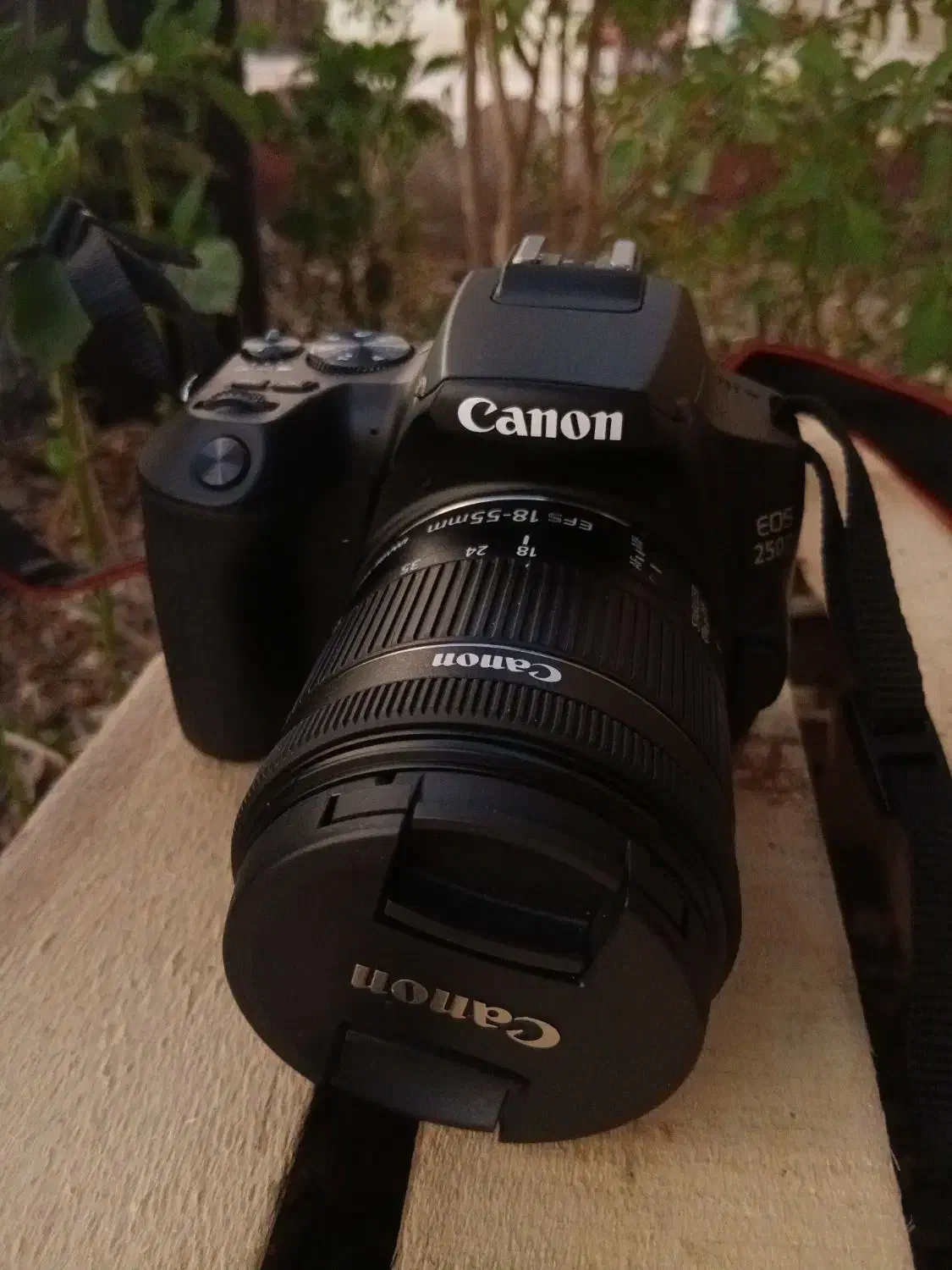 دوربین عکاسی کنون Canon به همراه لنز D250و تجهیزات|دوربین عکاسی و فیلم‌برداری|کرمان, |دیوار