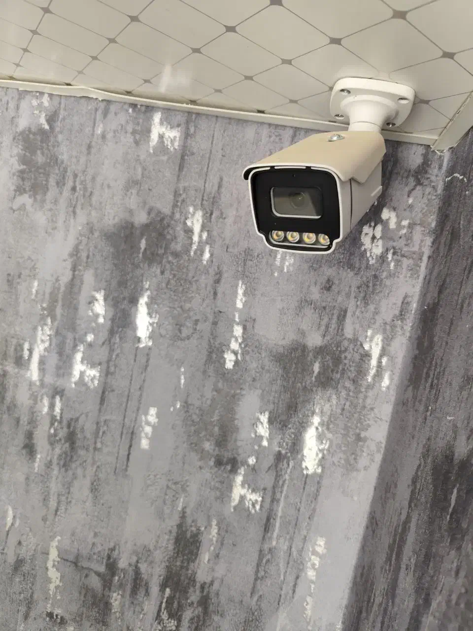دوربین مداربسته نو|دوربین مداربسته|زابل, |دیوار