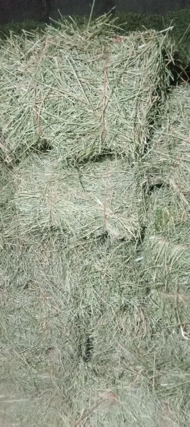 یونجه|حیوانات مزرعه|حمیل, |دیوار