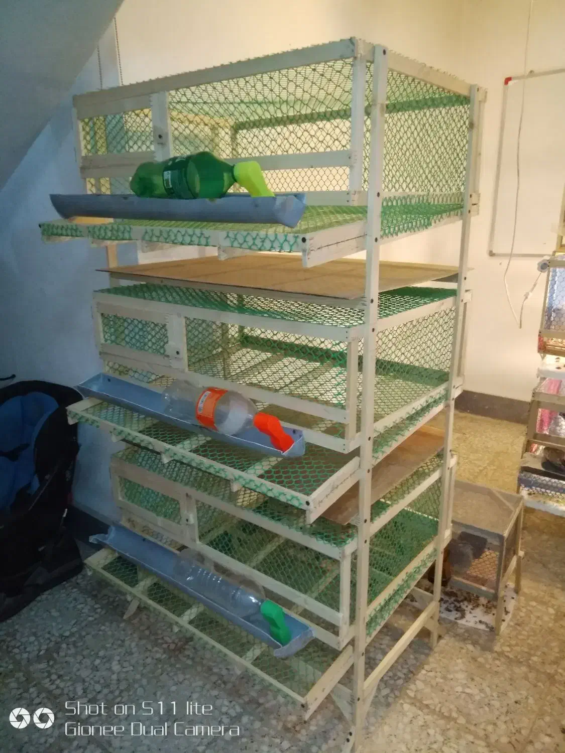 قفس|لوازم جانبی حیوانات|لنگرود, |دیوار