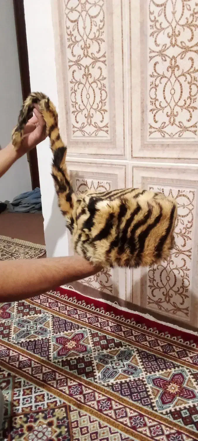 سلام کلاه روسی شال دار|لباس|گنبد کاووس, |دیوار