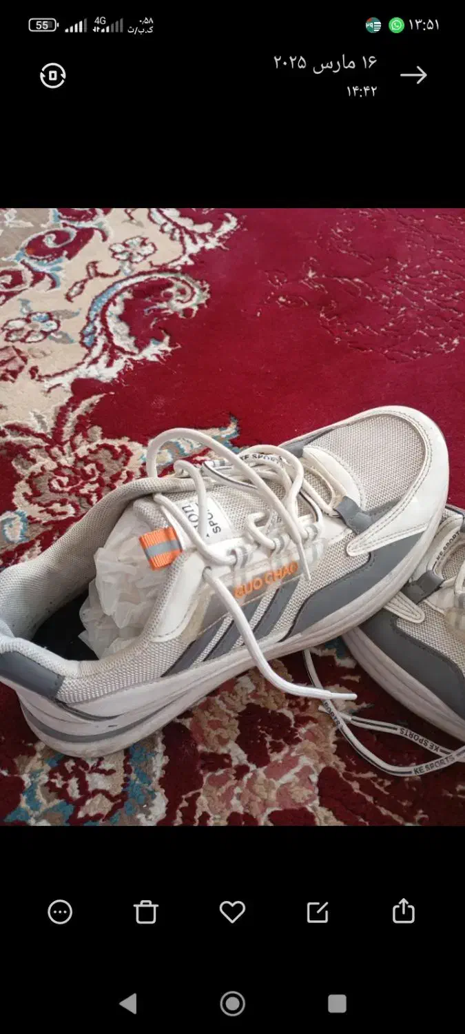 فروش کفش|کیف، کفش، کمربند|فیروزآباد (فارس), |دیوار