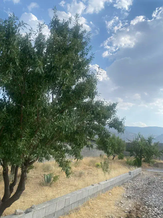 باغ شهری|فروش زمین و ملک کلنگی|شیراز, شهرک امیر کبیر|دیوار