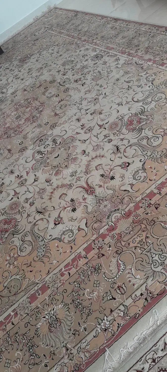 فرش ۱۲متری|فرش|ساوه, |دیوار