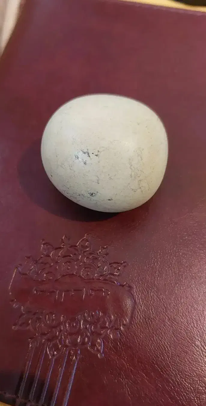 سنگ آسیاب الماس|جواهرات|شیراز, آزادگان|دیوار