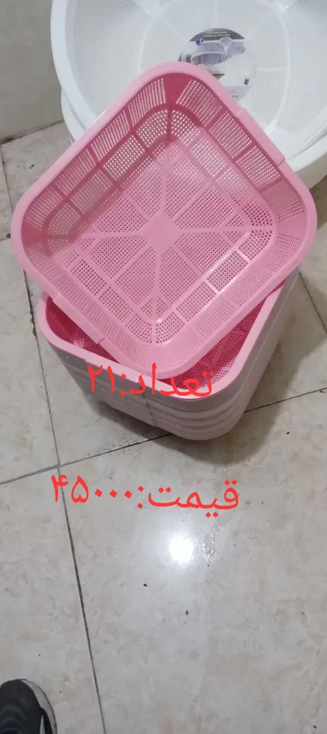 تعدادی پلاسکو به قیمت خرید قبل عید|ظروف نگهدارنده، پلاستیکی، یکبارمصرف|رشت, بیجارپس|دیوار