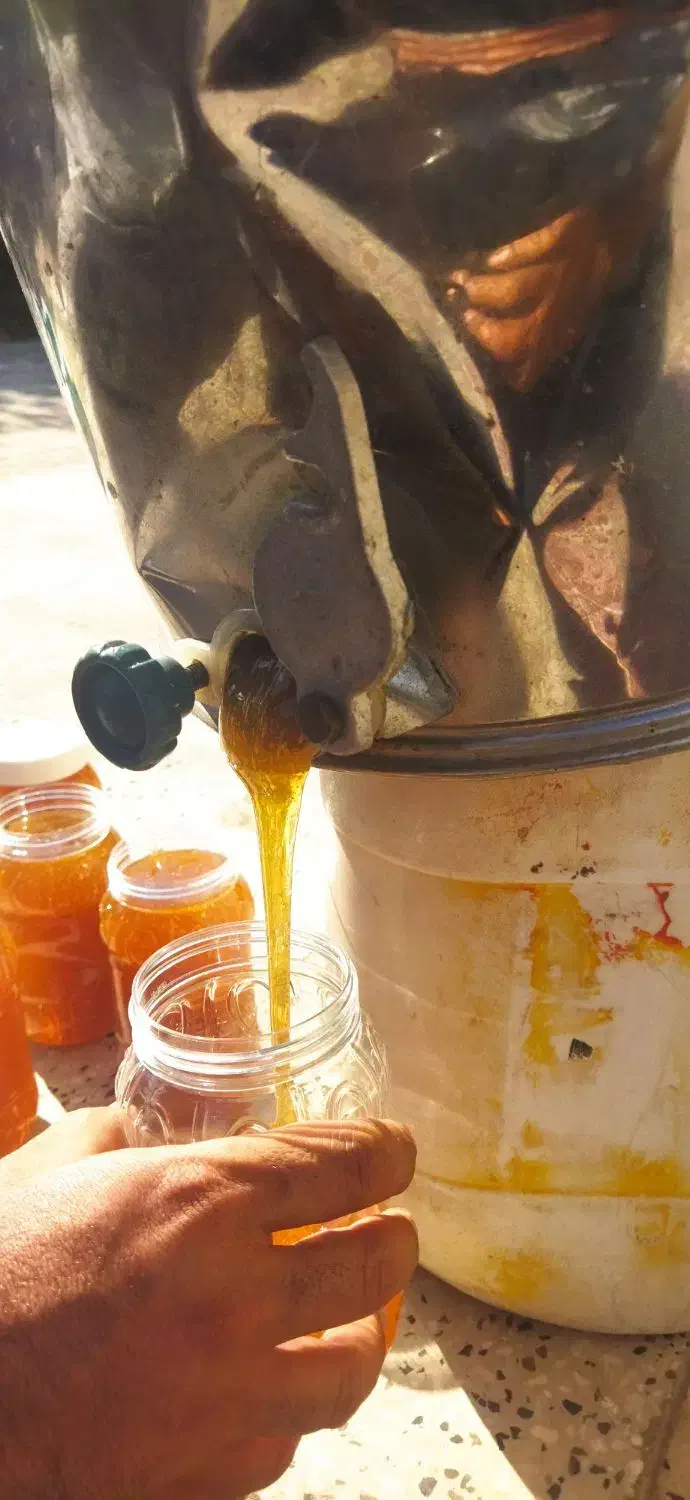 عسل کنار|عمده‌فروشی|فیروزآباد (فارس), |دیوار