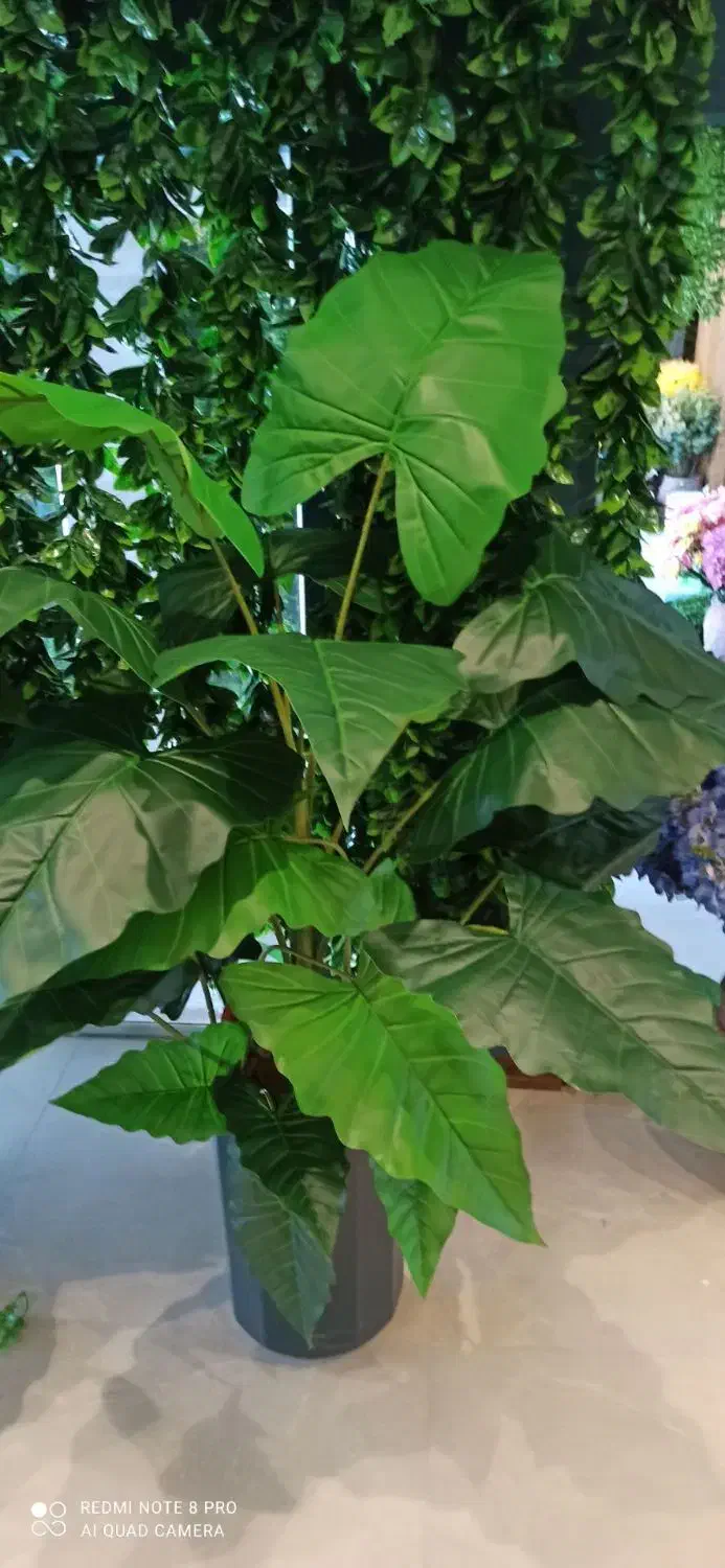 گلهای  خارجی درجه یک نقد واقساط|گل مصنوعی|کنگاور, |دیوار