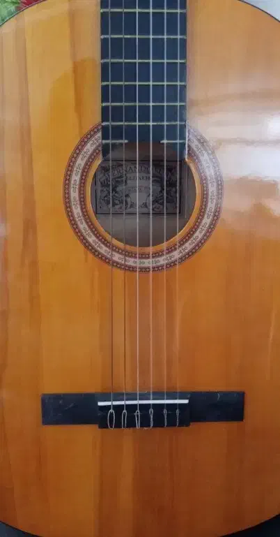 گیتار|گیتار، بیس، امپلیفایر|تربتحیدریه, طالقانی|دیوار