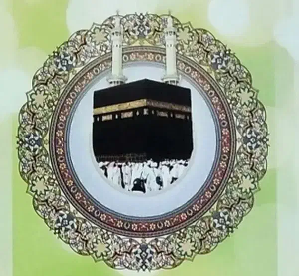 فیش|تور و چارتر|لاهیجان, رجایی|دیوار