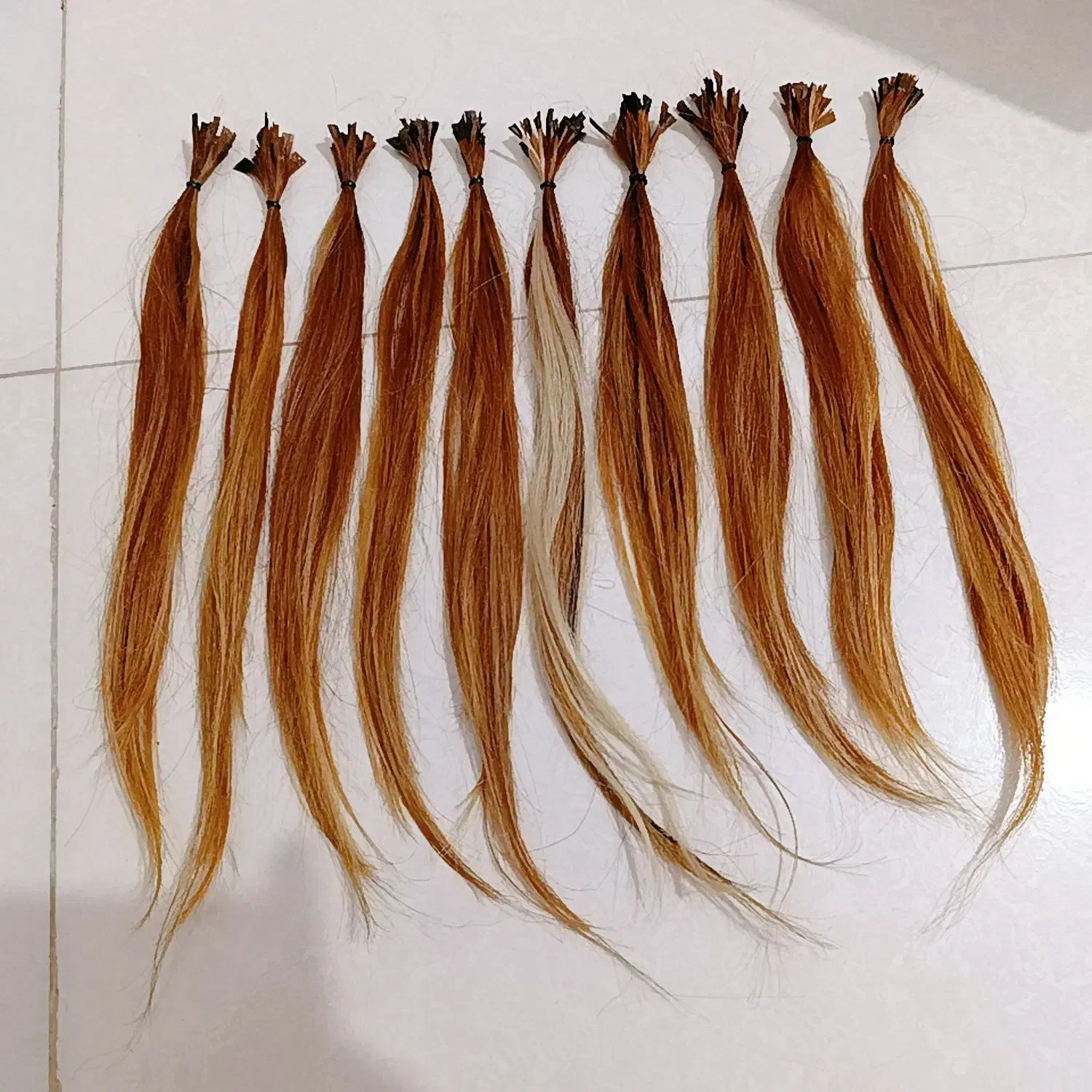 موی طبیعی|آرایشگاه و سالن‌های زیبایی|رشت, بیجارپس|دیوار