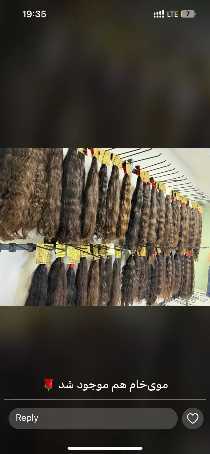 مرکز خریدمو بانوان صادرکننده خریدار اصلی|خدمات آرایشگری و زیبایی|سبزوار, شرق کال میانی|دیوار