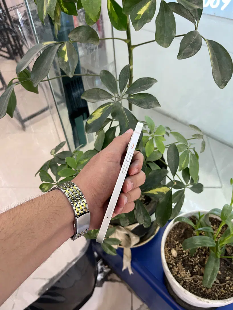 iPhone 13 normal|موبایل|اصفهان, احمدآباد|دیوار