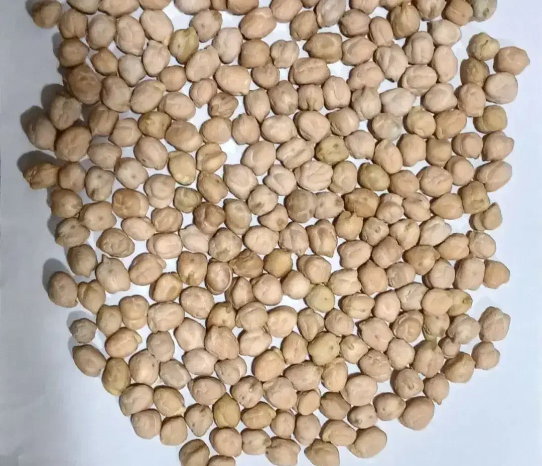 نخود|گل و گیاه طبیعی|سیلاخور, |دیوار