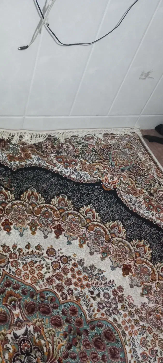 فرش ۹متری|فرش|قم, شهر قائم|دیوار