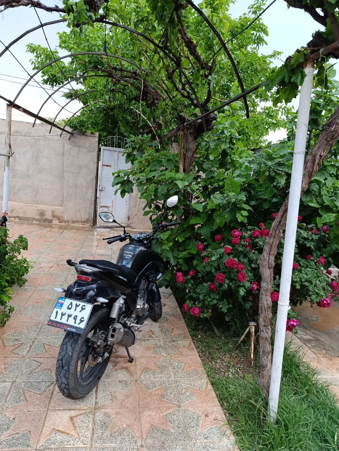 موتور|موتورسیکلت|دشتابی, |دیوار