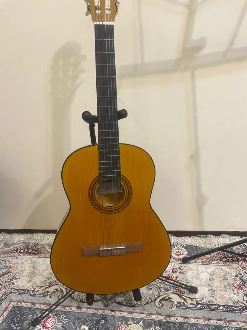 گیتار|گیتار، بیس، امپلیفایر|تهران, تهرانپارس غربی|دیوار