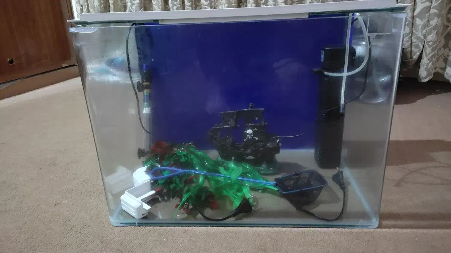 اکواریوم شرکتی.|ماهی|رامهرمز, |دیوار