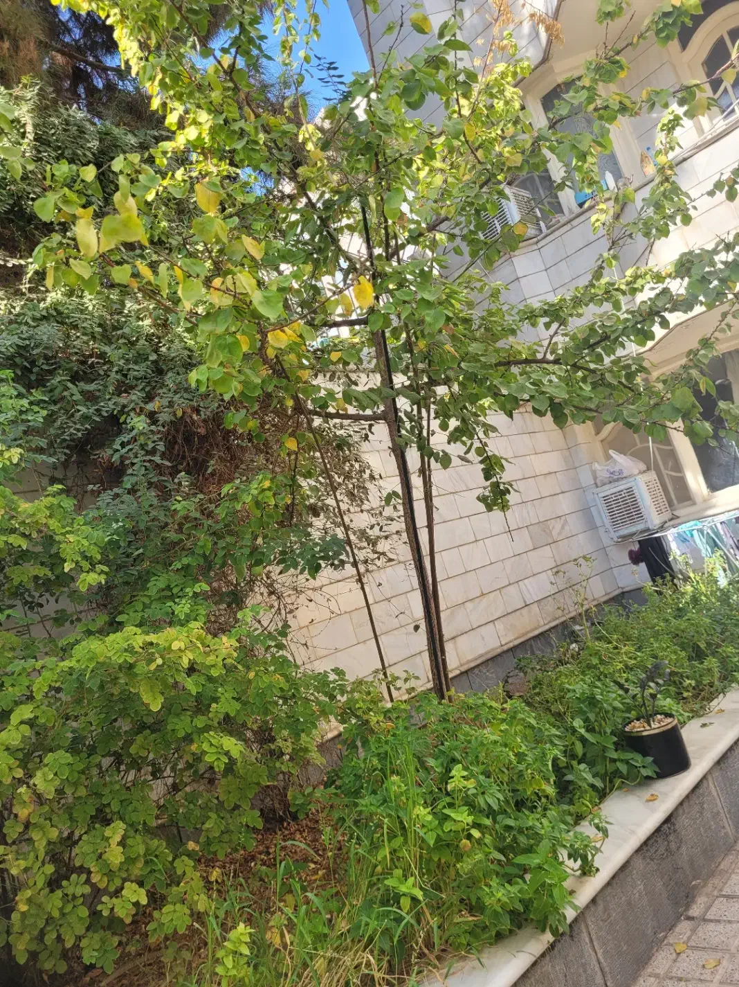 خوابگاه دخترانه|اجارهٔ آپارتمان|مشهد, بهشت|دیوار