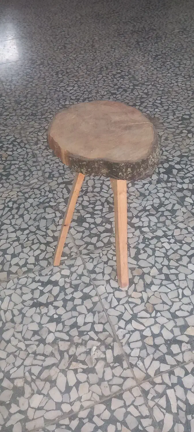 گل‌وگیاه|گل و گیاه طبیعی|مینودشت, |دیوار