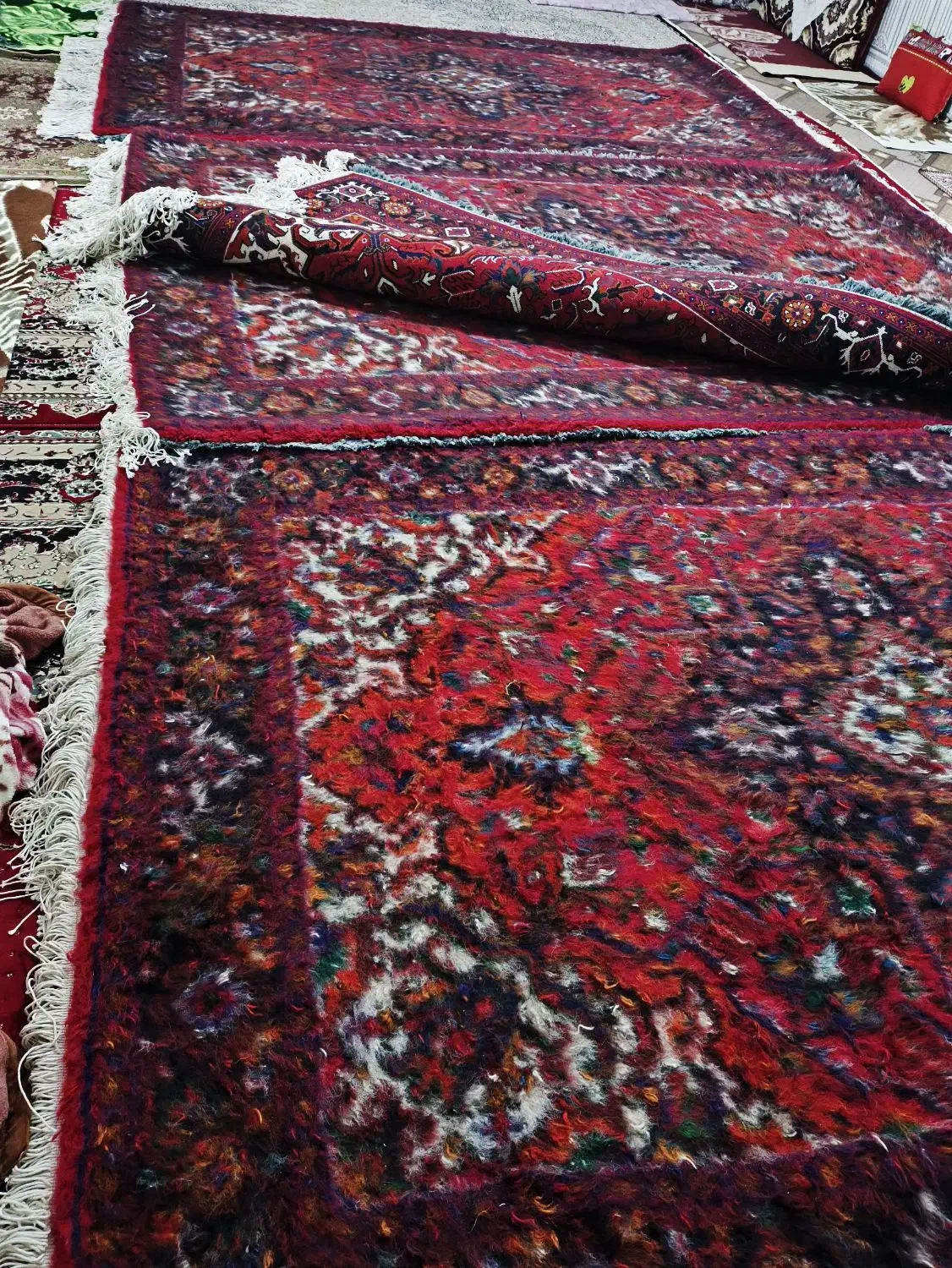 یک جفت فرش دستباف هریس الوار نقشه|فرش|بناب, |دیوار